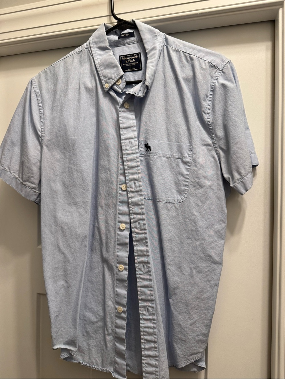 Abercrombie & Fitch Pale Blue Short-Sleeve Button-Down Shirt
